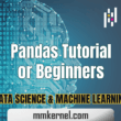 Python Pandas Tutorial for Beginners Data Science & Machine Learning