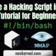 Create a Hacking Script in BASH - Tutorial for Beginners