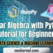 Linear Algebra with Python - Tutorial for Beginners