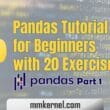 Pandas Tutorial for Beginners with 20 Exercises