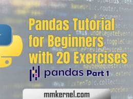 Pandas Tutorial for Beginners with 20 Exercises