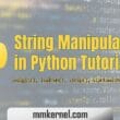 String Manipulation in Python Tutorial: 20 Essential Code Examples