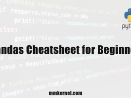 Pandas Cheatsheet for Beginners 