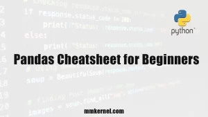 Pandas Cheatsheet for Beginners 
